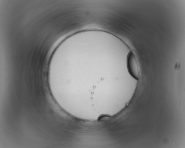 X0000113171008200910161303