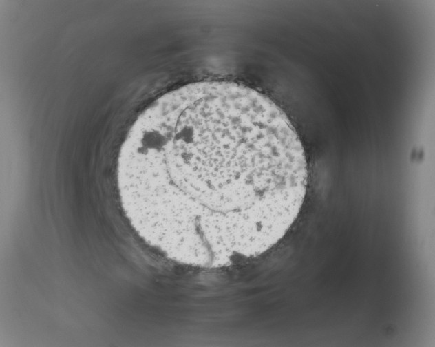X0000113171009200910161302