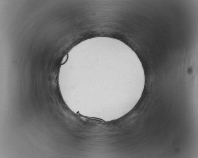 X0000113171010200910161302