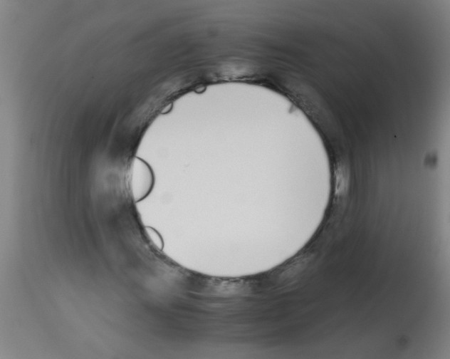X0000113171011200910161302