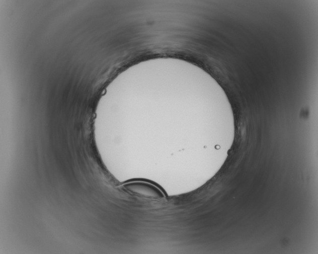 X0000113171012200910161302