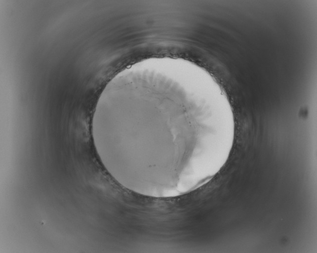 X0000113171013200910161302