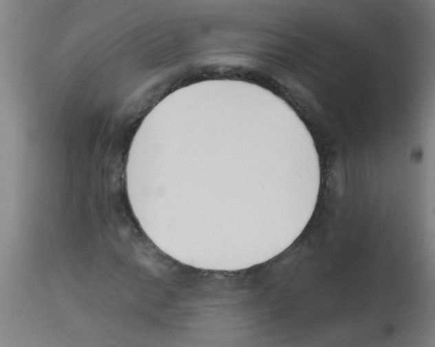 X0000113171014200910161302