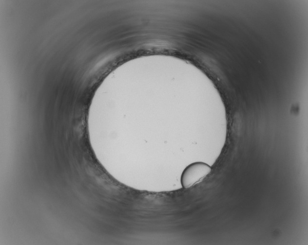 X0000113171015200910161303
