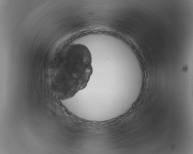 X0000113171016200910161303