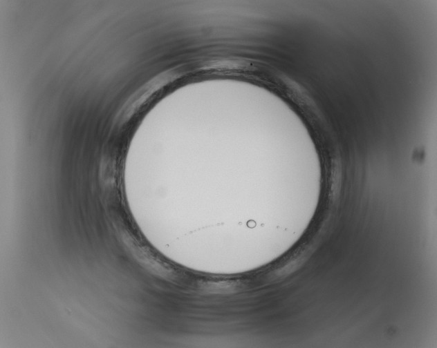X0000113171017200910161303