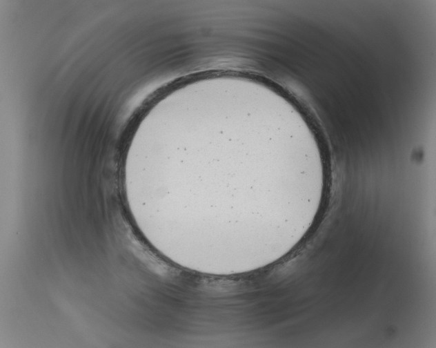 X0000113171019200910161303