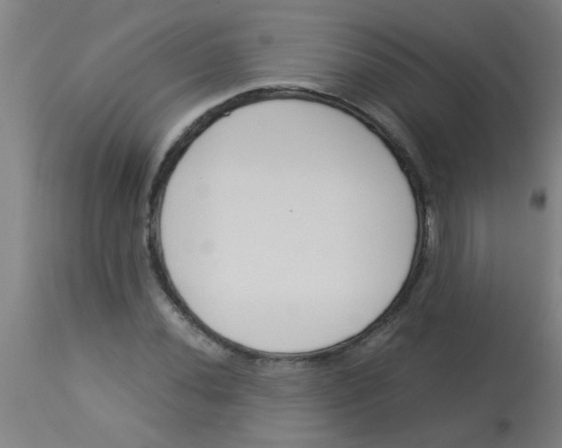 X0000113171020200910161303