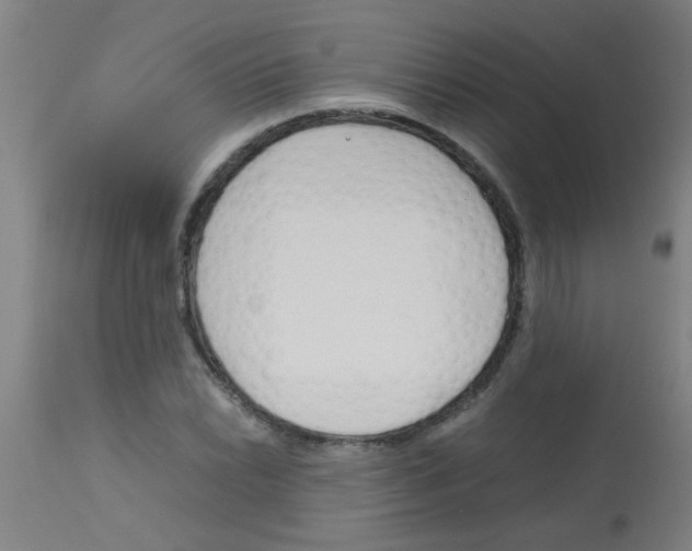 X0000113171022200910161303