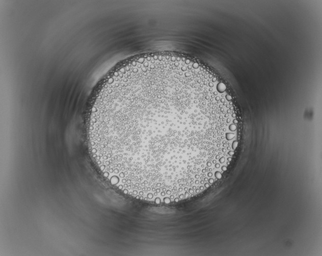 X0000113171023200910161303