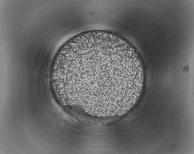 X0000113171024200910161303