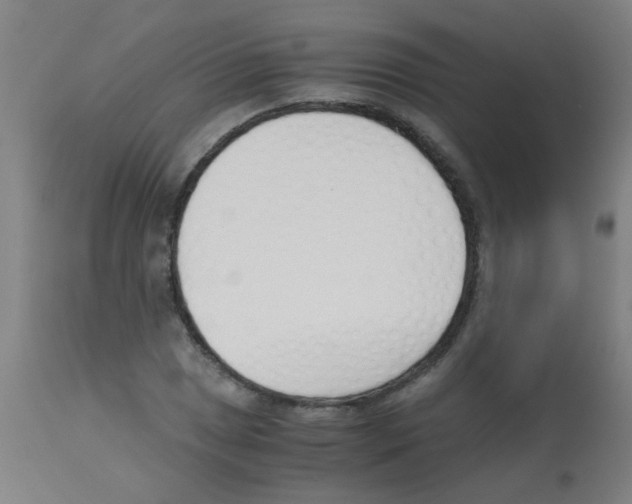 X0000113171025200910161303