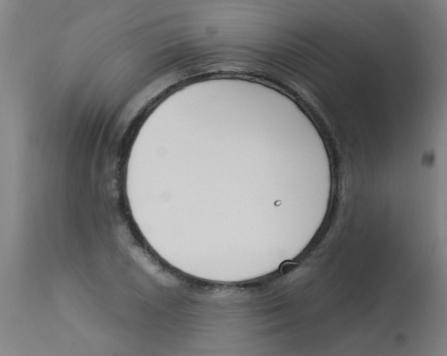 X0000113171026200910161303