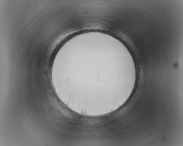 X0000113171027200910161303