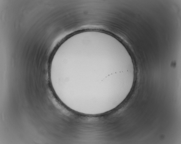 X0000113171030200910161303