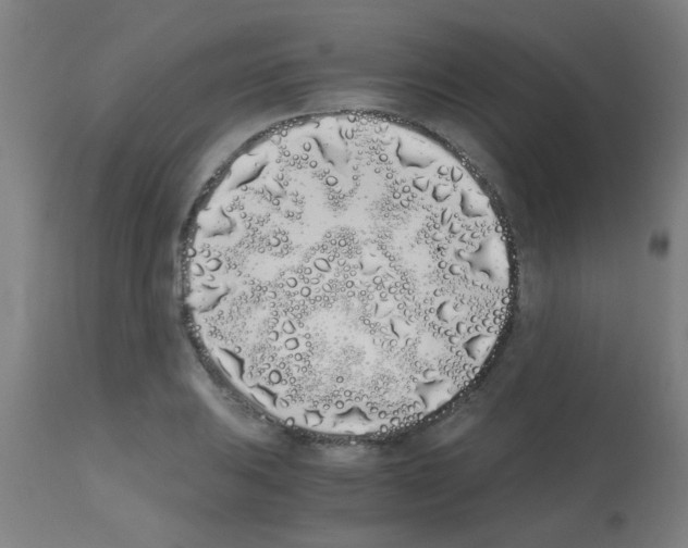 X0000113171031200910161303
