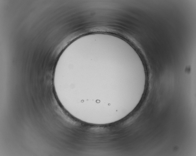 X0000113171033200910161303
