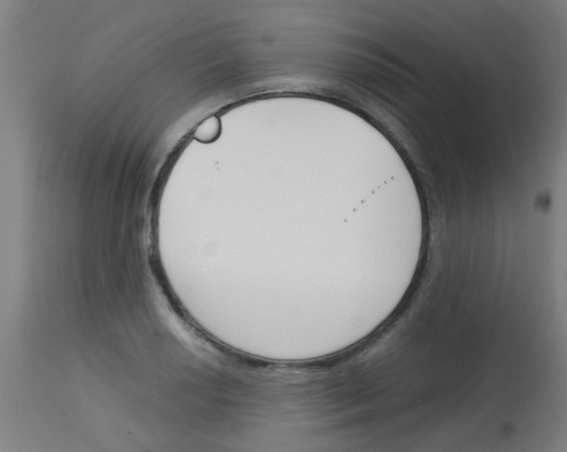 X0000113171034200910161303