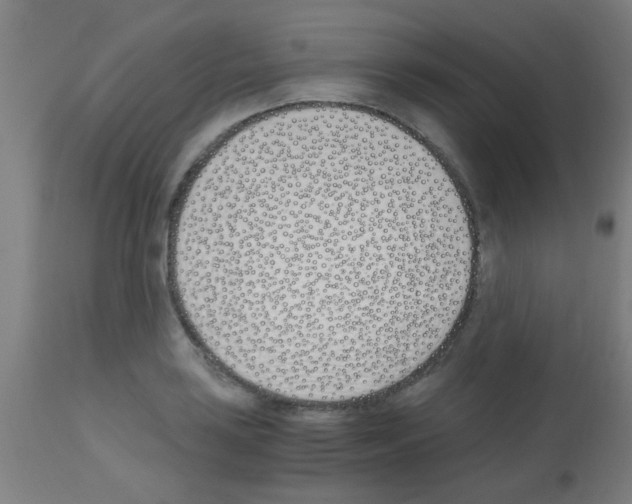 X0000113171035200910161303