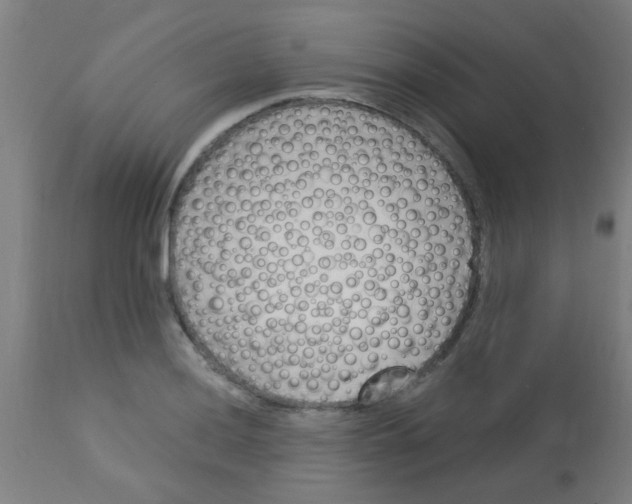 X0000113171036200910161303