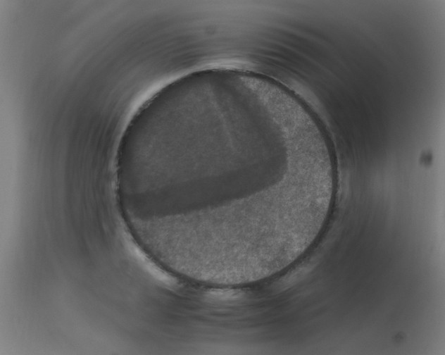 X0000113171037200910161303