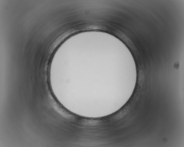 X0000113171039200910161303