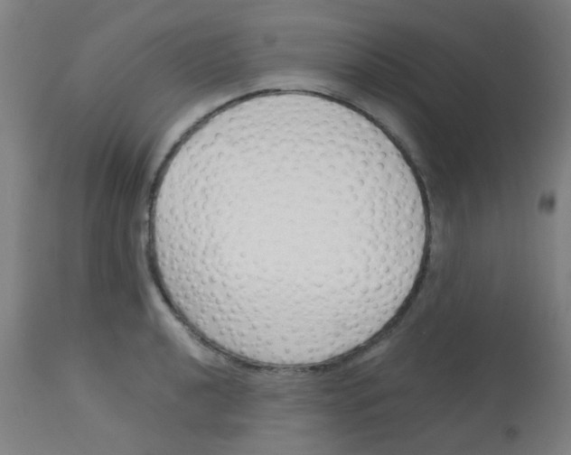 X0000113171040200910161303