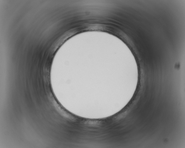 X0000113171041200910161303