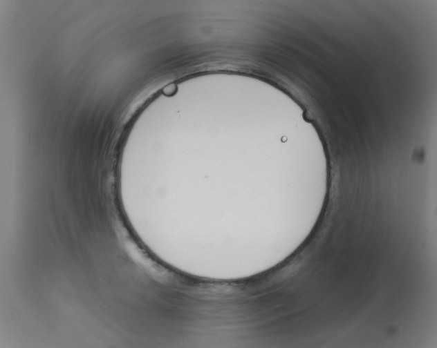 X0000113171042200910161303