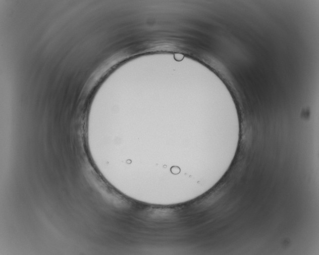 X0000113171043200910161303