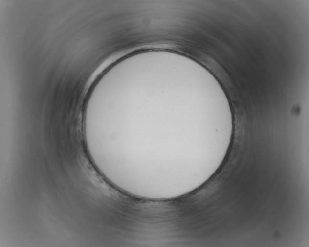 X0000113171044200910161303