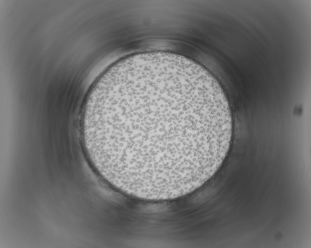 X0000113171047200910161303