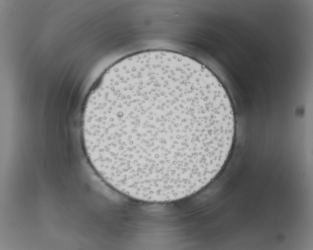 X0000113171048200910161303