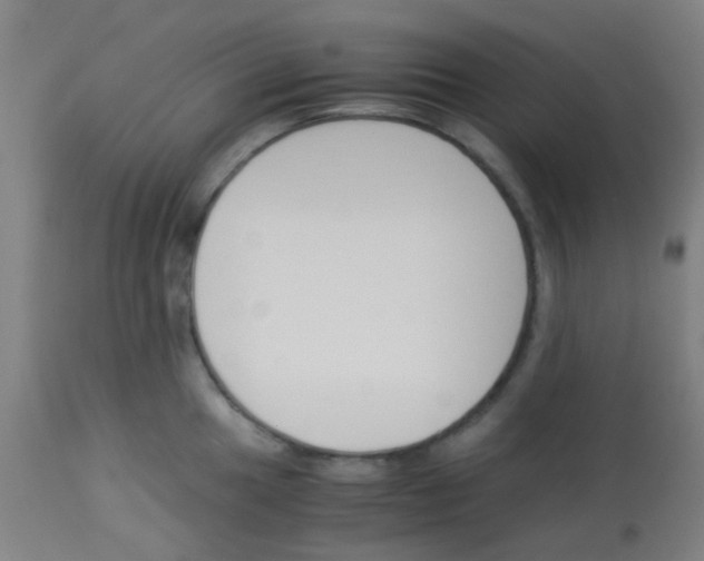 X0000113171049200910161303