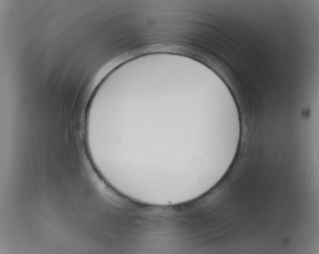 X0000113171050200910161303