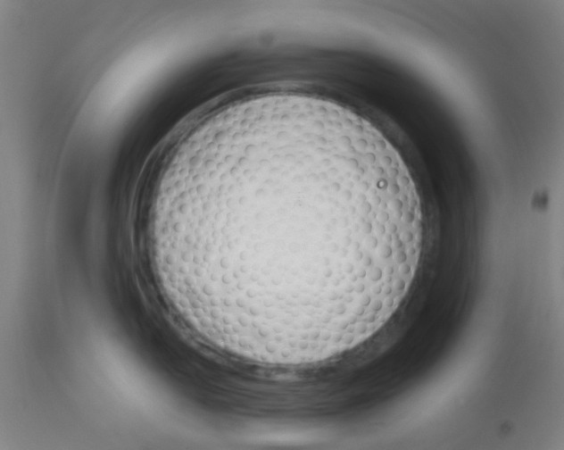 X0000113171054200910161303