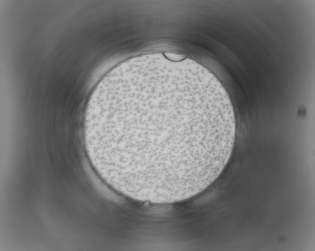 X0000113171055200910161303