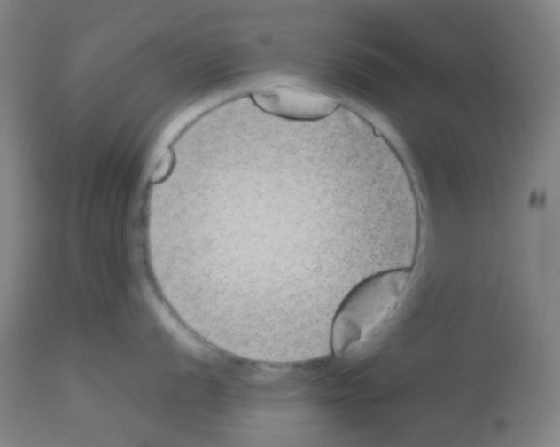 X0000113171056200910161303