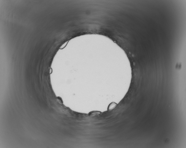 X0000113171057200910161302