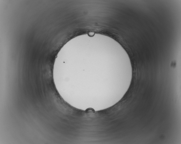 X0000113171058200910161302