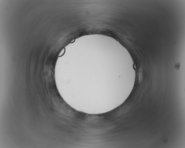 X0000113171059200910161302