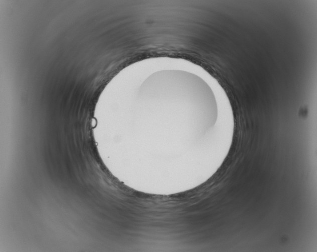 X0000113171060200910161302