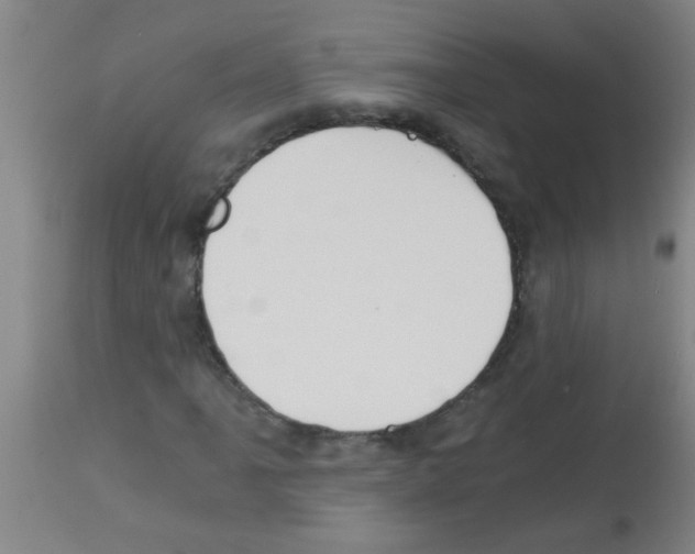 X0000113171061200910161302