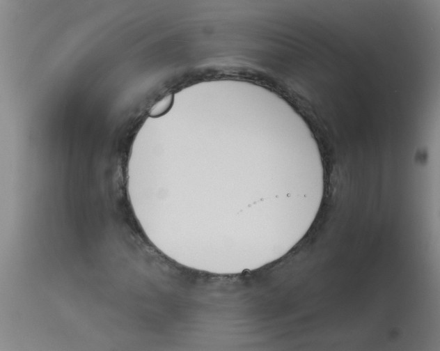 X0000113171062200910161302