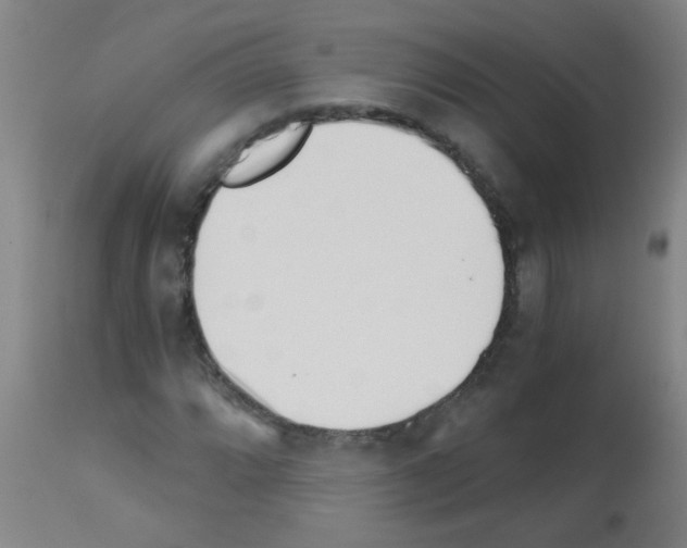 X0000113171064200910161302