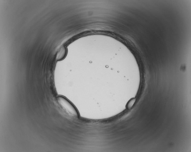 X0000113171065200910161302