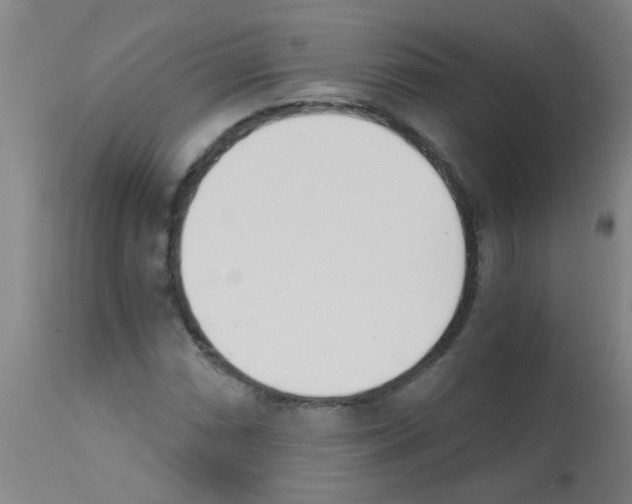 X0000113171066200910161302