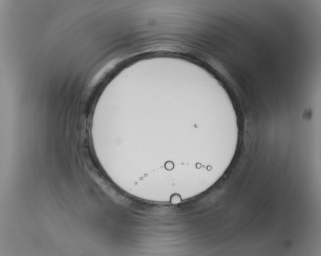X0000113171067200910161302