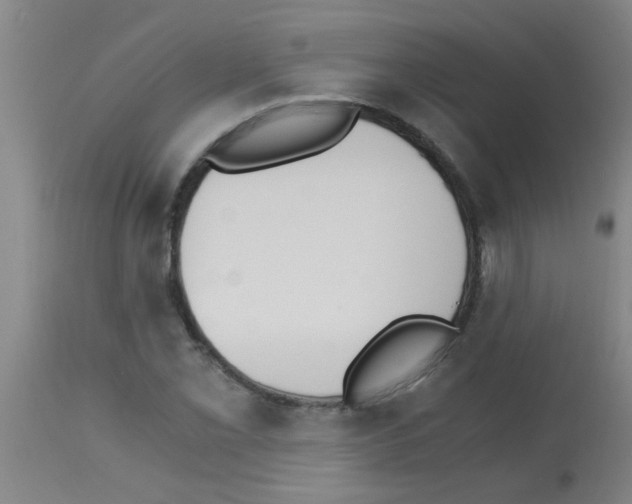 X0000113171069200910161302