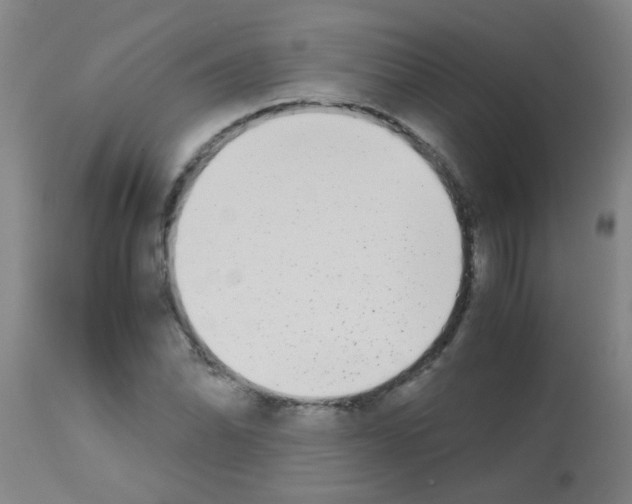 X0000113171070200910161302